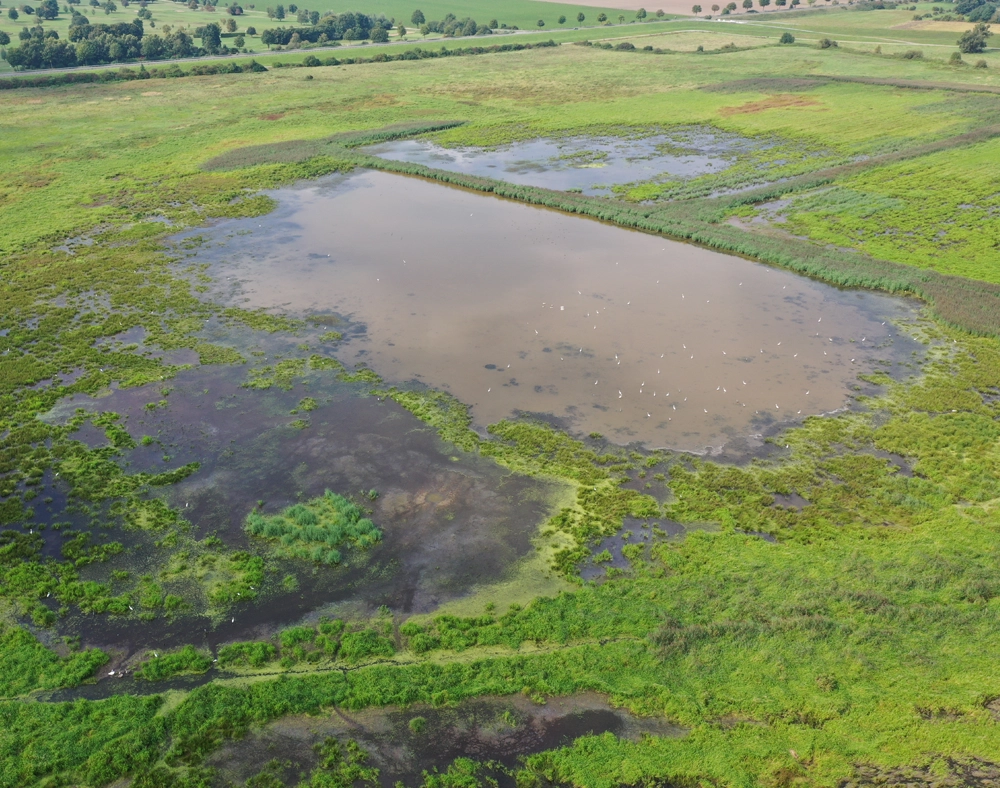 Polder 1_sl